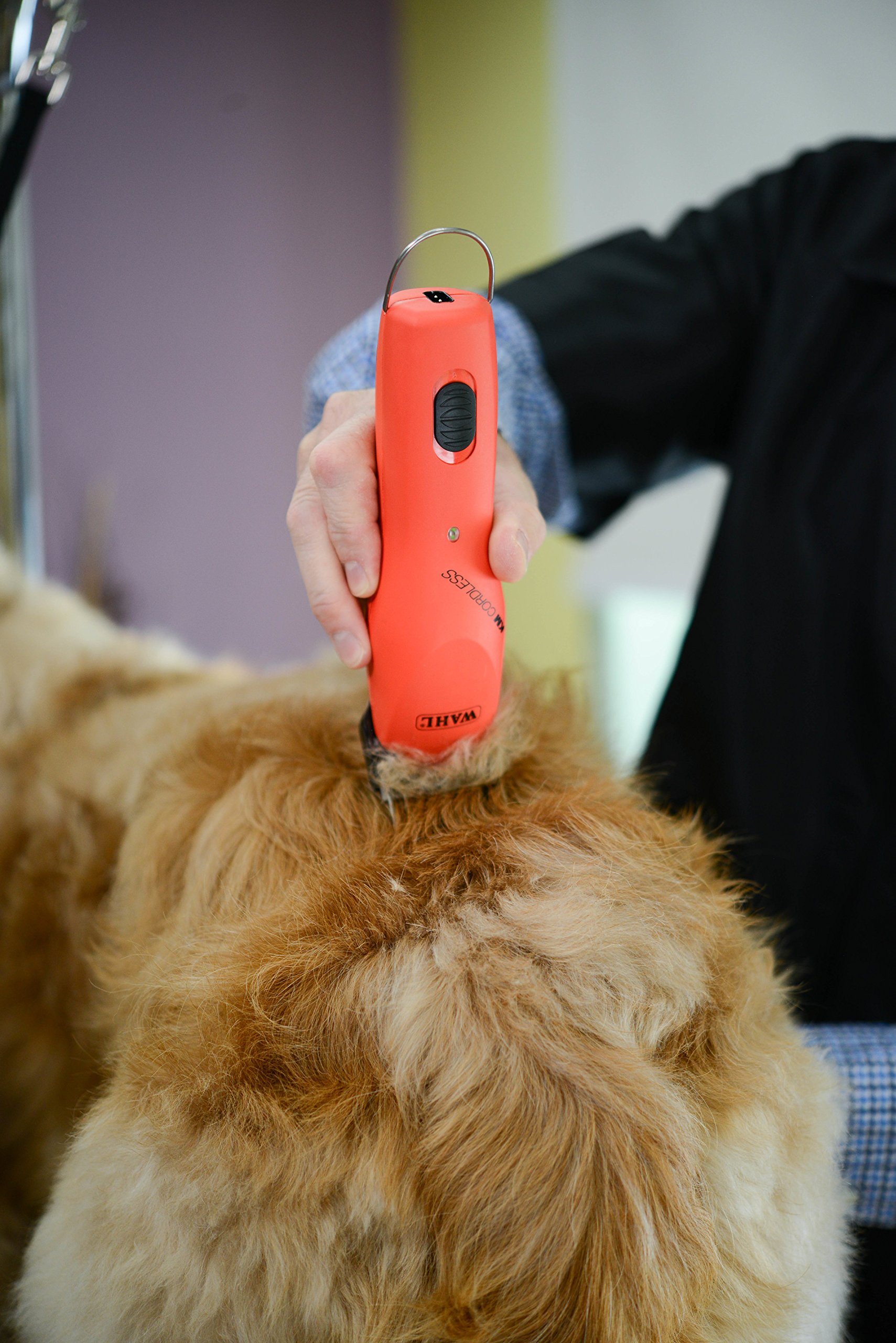 WAHL Professional Animal KM Cordless 2-Speed Detachable Blade Pet and Dog Clipper Kit, Poppy (9596-200)